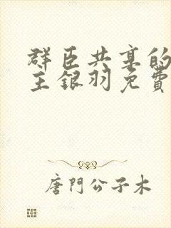 群臣共享的小公主银羽免费阅读