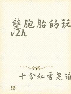 双胞胎的玩具1v2h