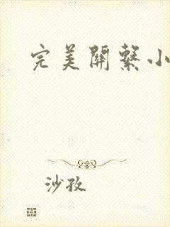 完美关系小说封面