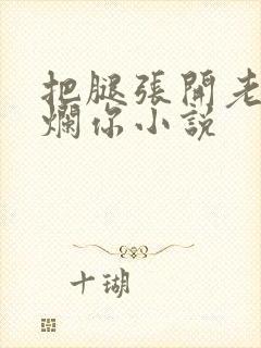把腿张开老子臊烂你小说封面
