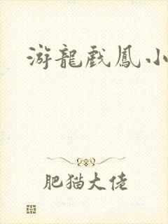 游龙戏凤小说