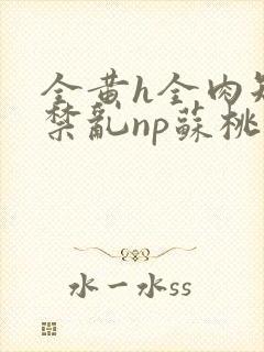 全黄h全肉短篇禁乱np苏桃封面