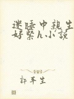 迷睡中亲生乖女好紧h小说封面
