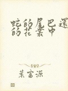 蛇的尾巴还在我的花丛中