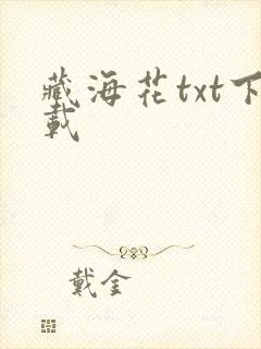 藏海花txt下载封面