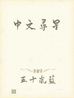 中文寻星