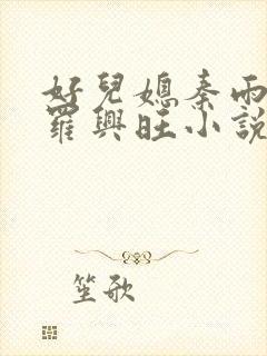 好儿媳秦雨罗明罗兴旺小说