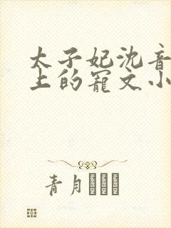 太子妃沈音和皇上的宠文小说