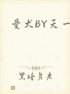 爱犬BY天一封面
