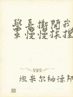 学长撕开我的乳罩慢慢揉捏小说