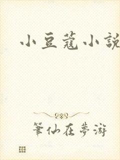 小豆蔻小说