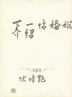 下一站婚姻剧情介绍