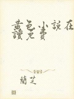 黄色小说在线阅读免费