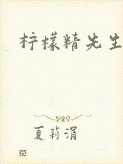 柠檬精先生封面