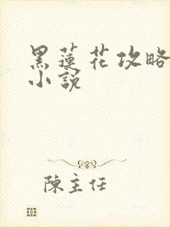 黑莲花攻略手册小说