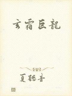 玄霜巨龙封面