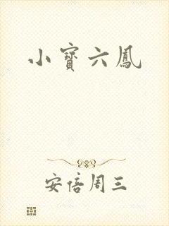 小宝六凤