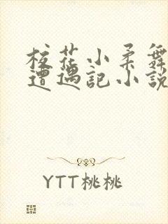 校花小柔舞蹈室遭遇记小说