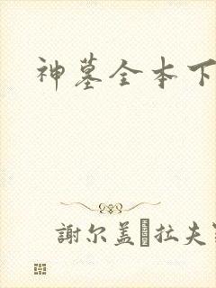 神墓全本下载封面