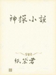 神探小说