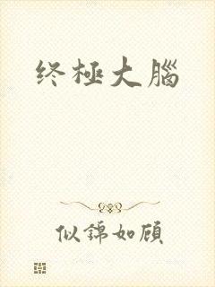 终极大脑
