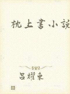 枕上书小说封面
