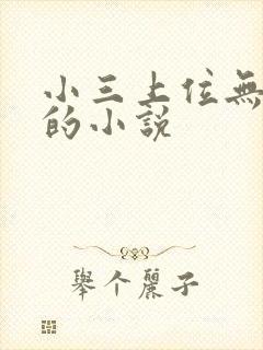 小三上位无三观的小说
