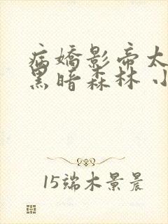 病娇影帝太撩人黑暗森林 小说全文免费阅读