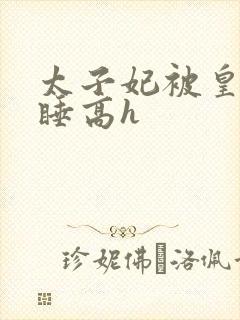 太子妃被皇上强睡高h封面
