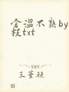 含温不熟by词枝txt封面