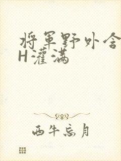 将军野外含公主H灌满