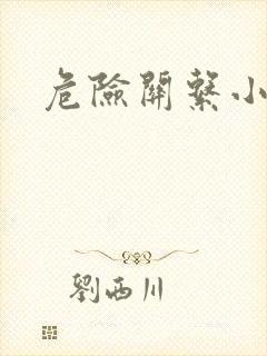 危险关系小说