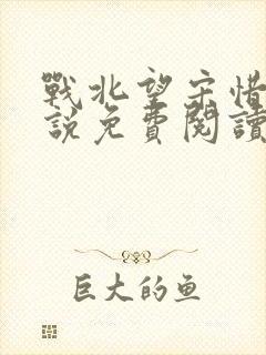 战北望宋惜惜小说免费阅读全文封面