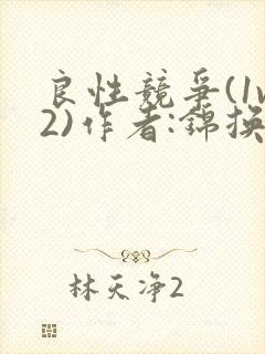良性竞争(1v2)作者:锦换封面