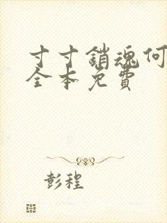 寸寸销魂何生祥全本免费