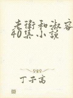 老卫和淑容1-40集小说