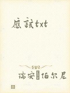 应该txt