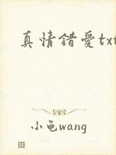 真情错爱txt