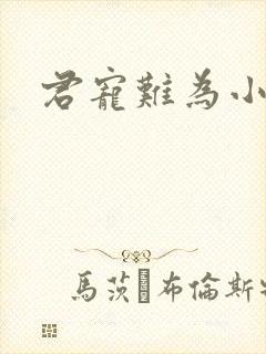 君宠难为小说