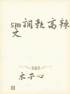 sm调教高辣h文