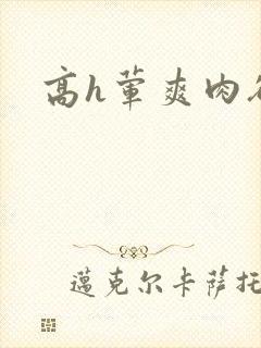 高h荤爽肉欲文
