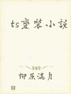 ts变装小说
