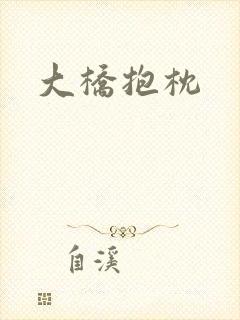 大桥抱枕