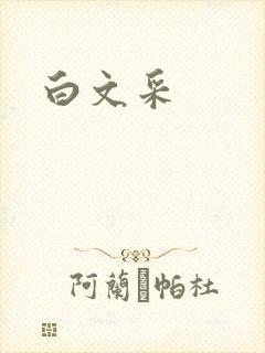 白文采封面