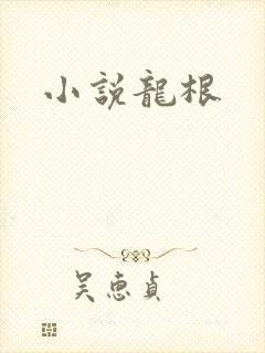 小说龙根