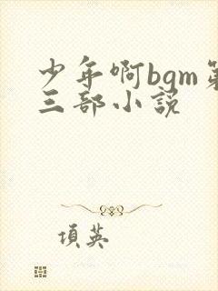 少年啊bgm第三部小说封面