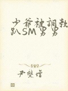 少爷被调教室跪趴SM男男