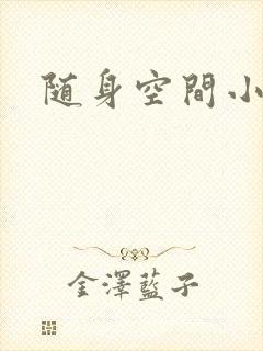 随身空间小说