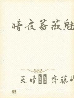 暗夜蔷薇魅