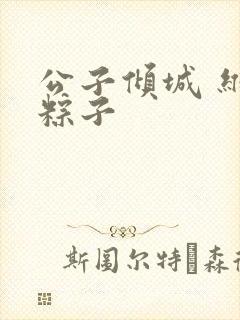 公子倾城 维和粽子